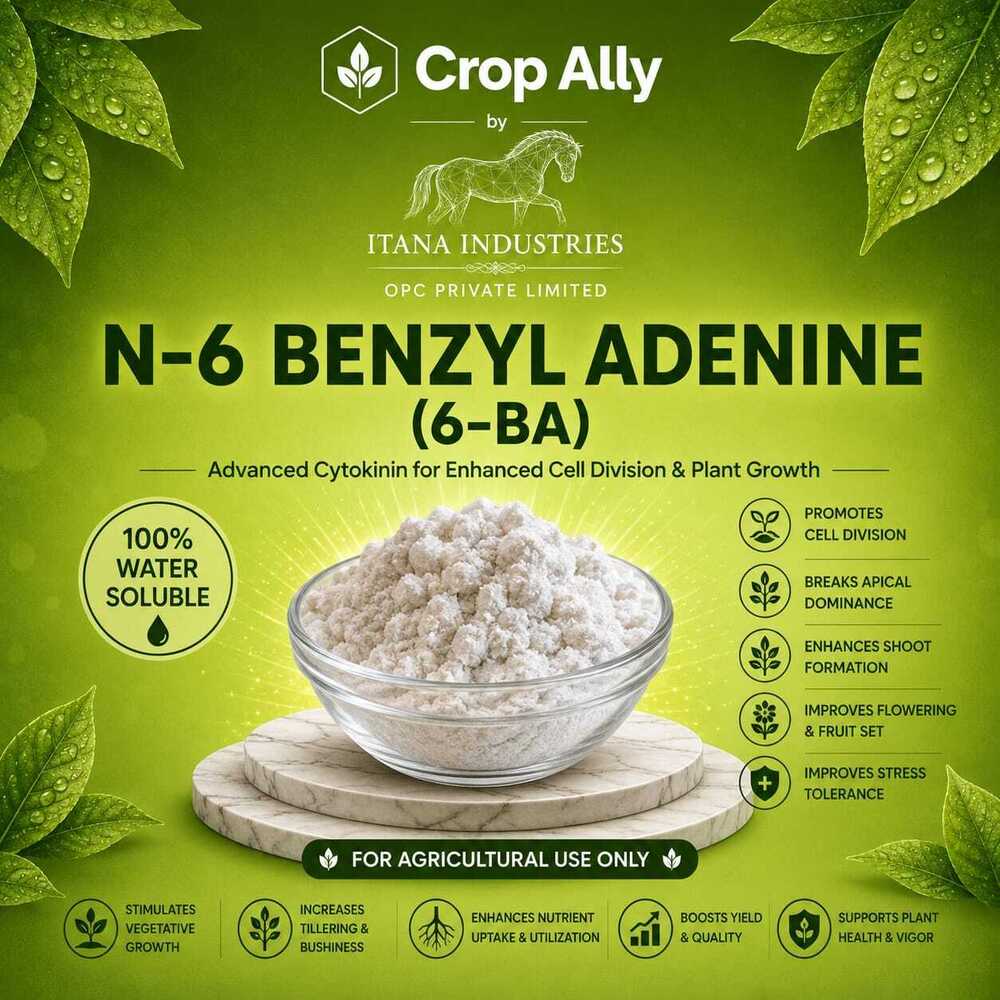 N6 Benzyl Adenine Powder