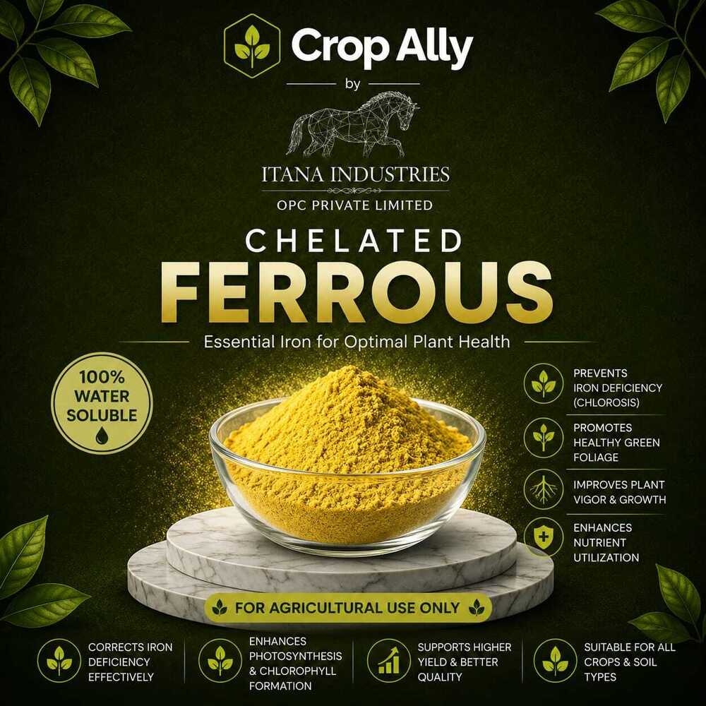Chelated Ferrous Powder
