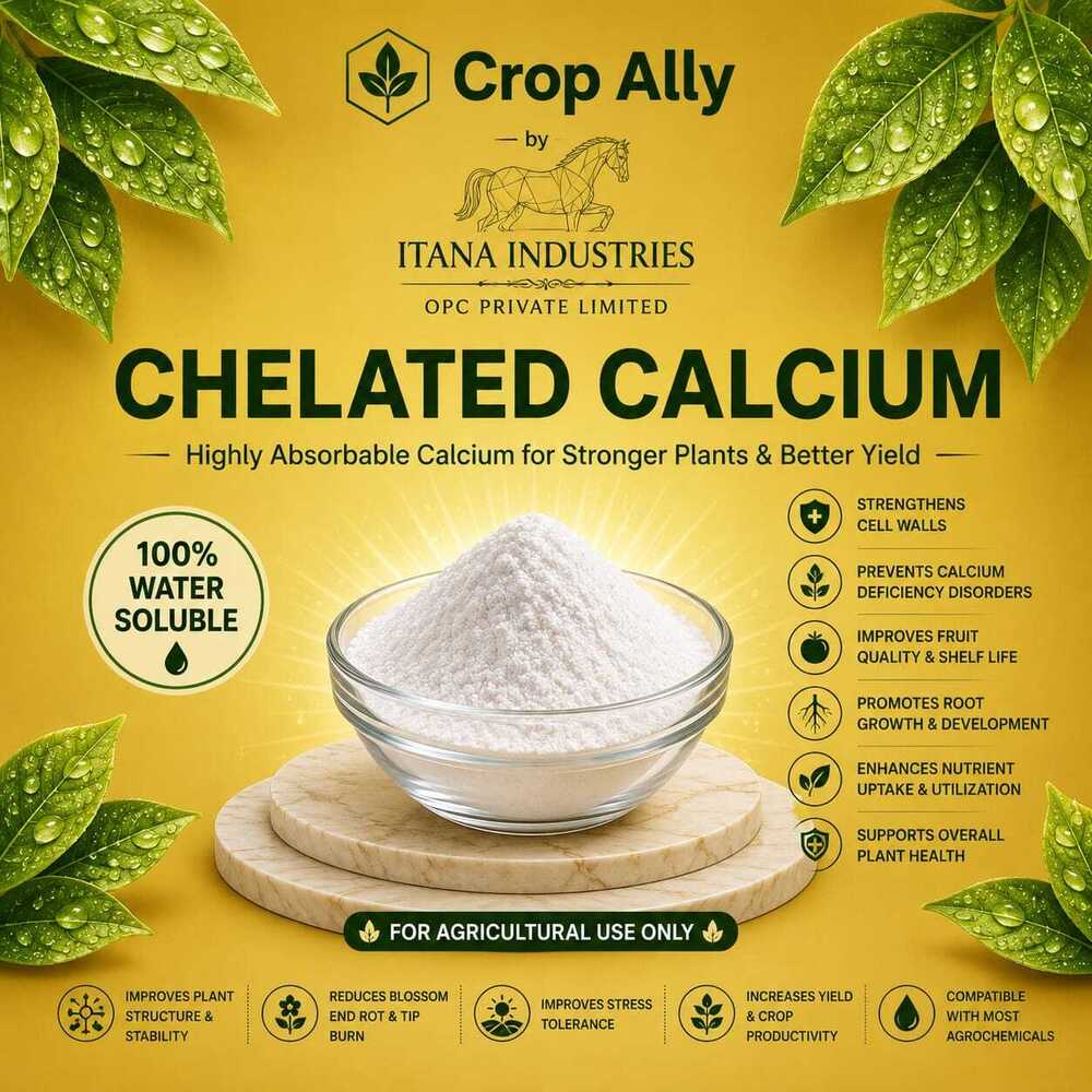 Chelated Calcium Powder