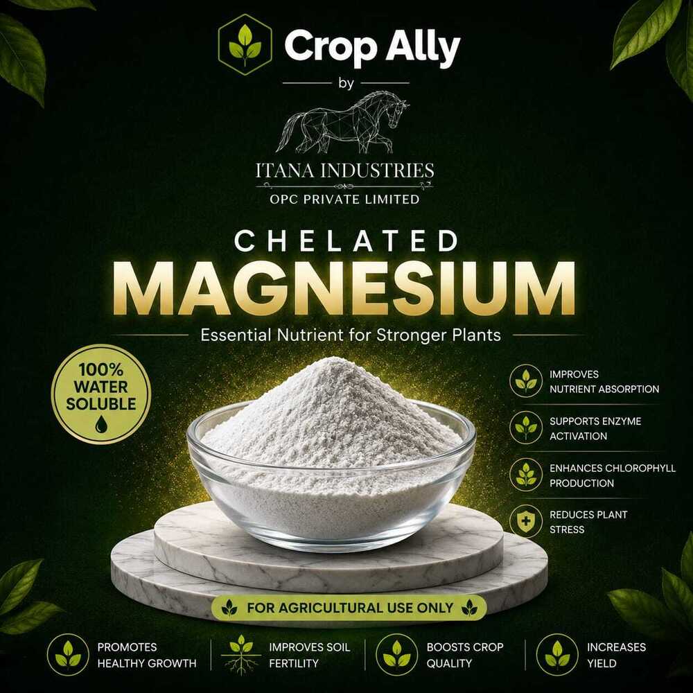 Chelated Magnesium Powder