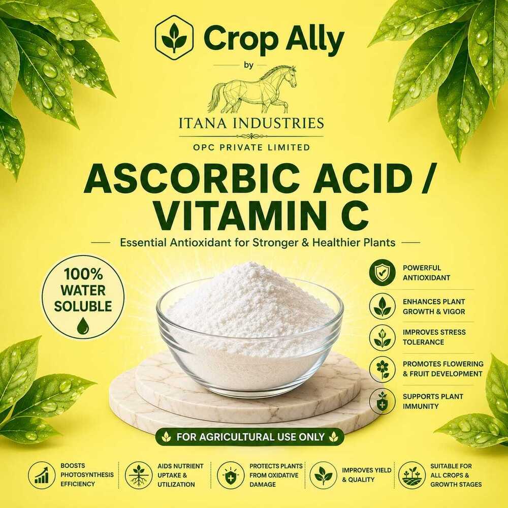 Ascorbic Acid Vitamin C Powder