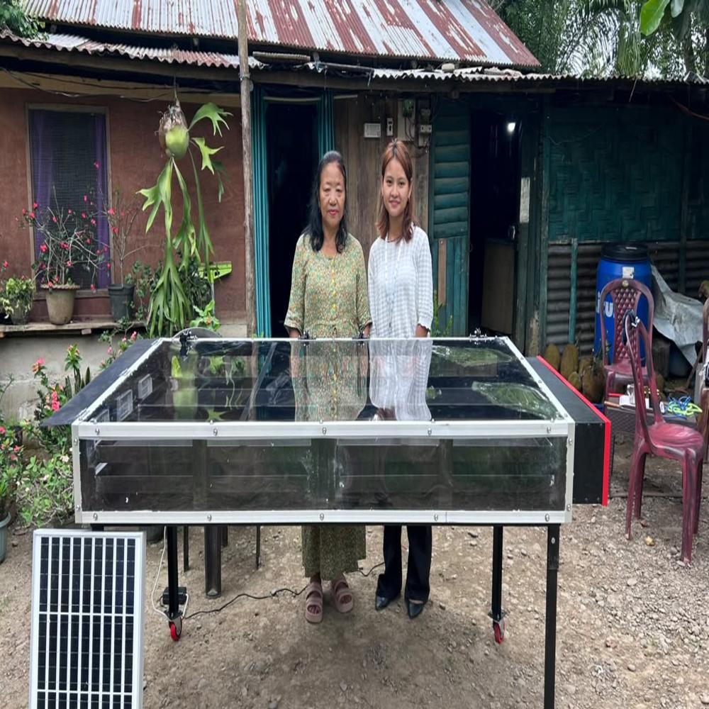 Solar Dryer For Vegetables