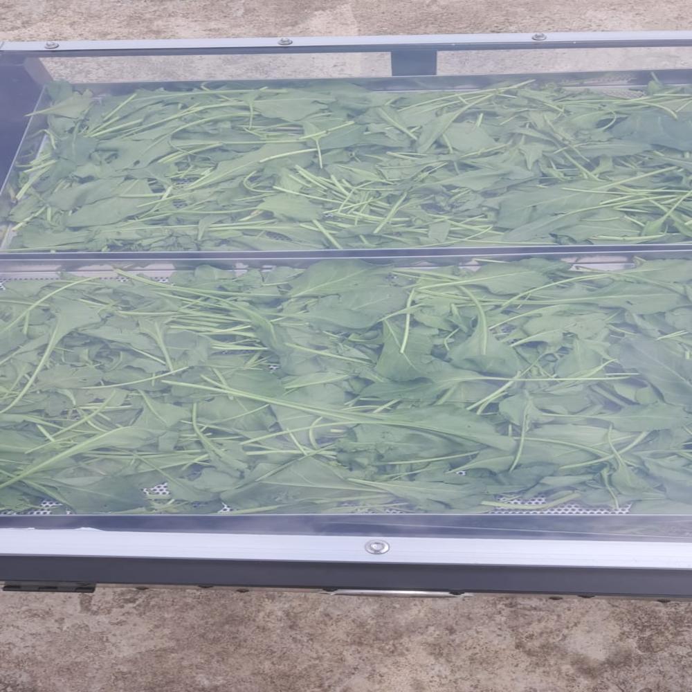 Solar Dryer For Leafy Vegetables