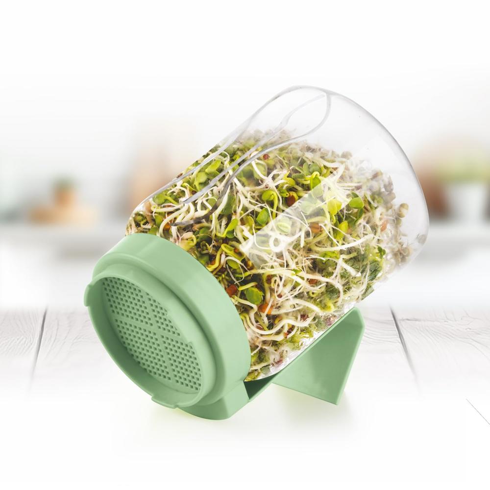 Nayasa Sprouting Jar with Wide
