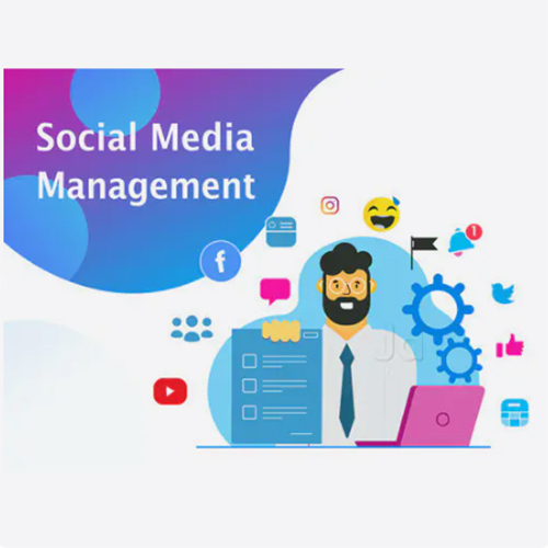Social Media Management Services