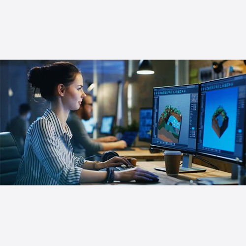 Computer Software Developers For Game
