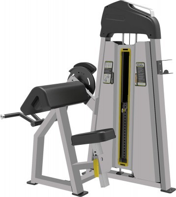 CE 3030 Biceps-Camber Curl