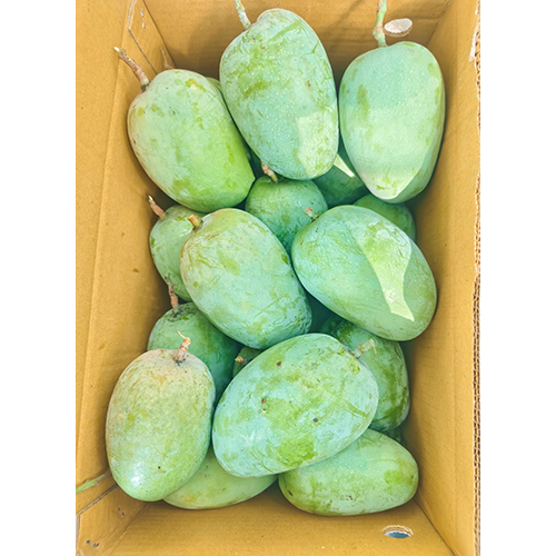 Kesar Mango