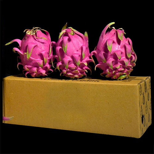 Dragon Fruit