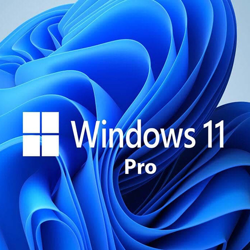 Windows 11 Pro