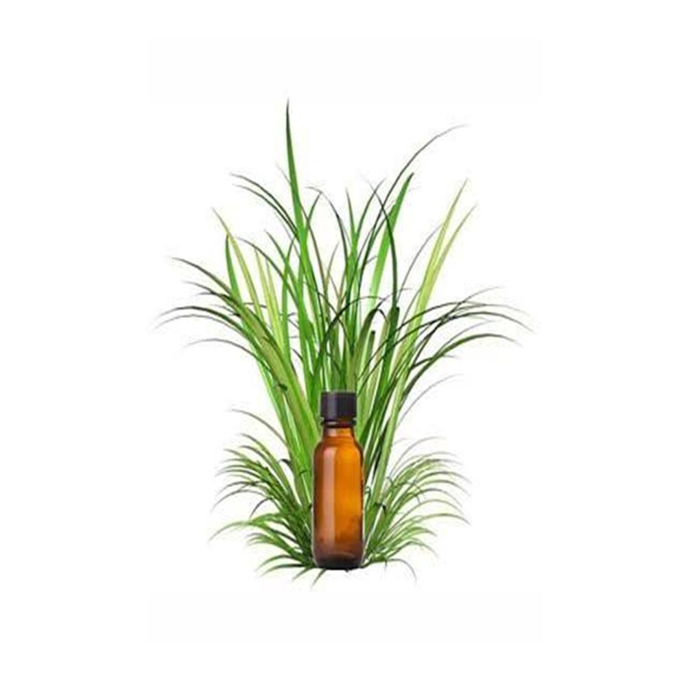 VETIVER OIL - MIX BATCH