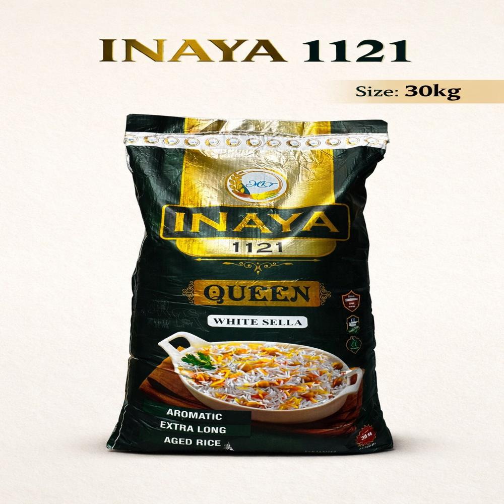 QUEEN  1121 SELLA TIBAR