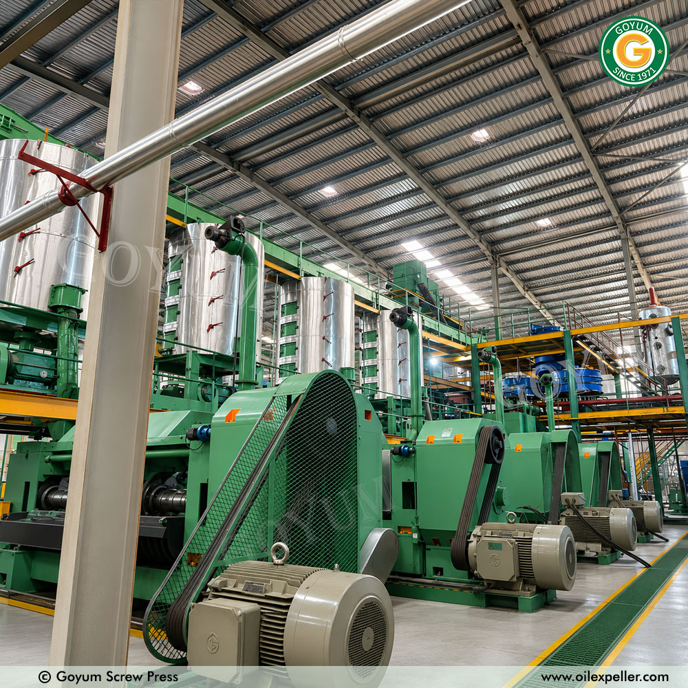 Vegetable Oil Processing Plant - Automatic Grade: Automatic