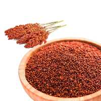 Organic Ragi Whole Grain