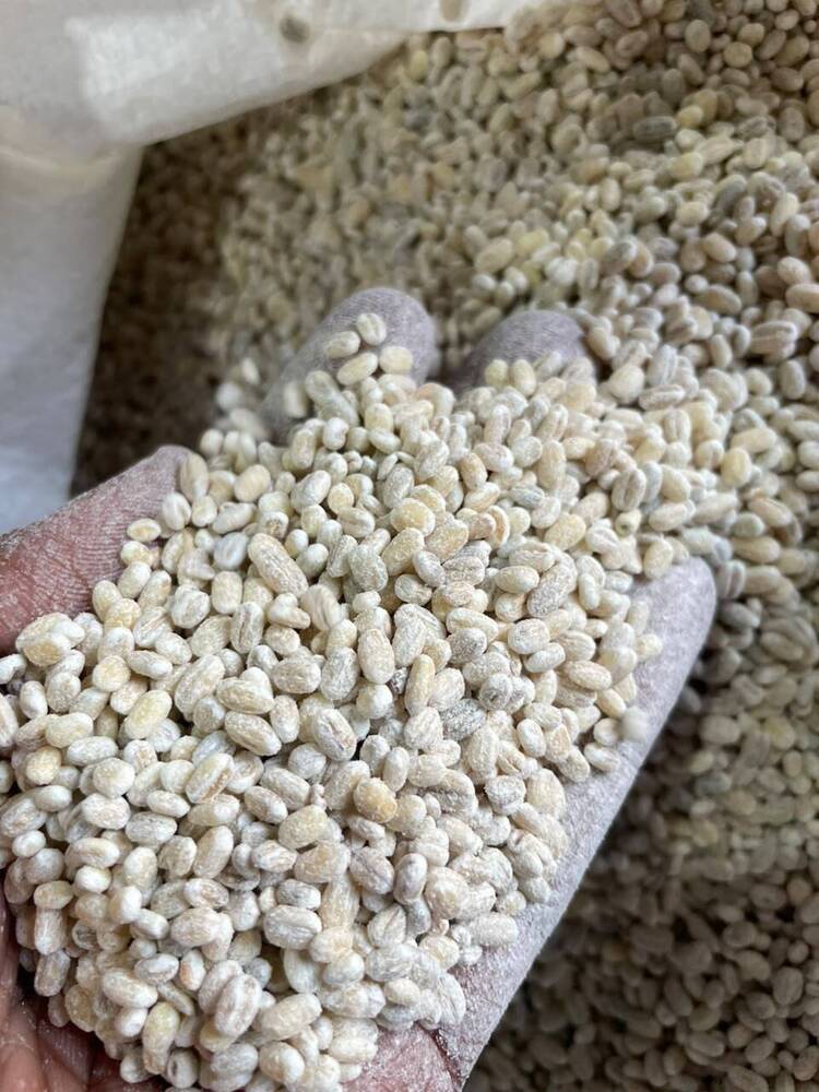 Organic Pearl Barley