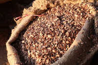 Indian Cashew Husk