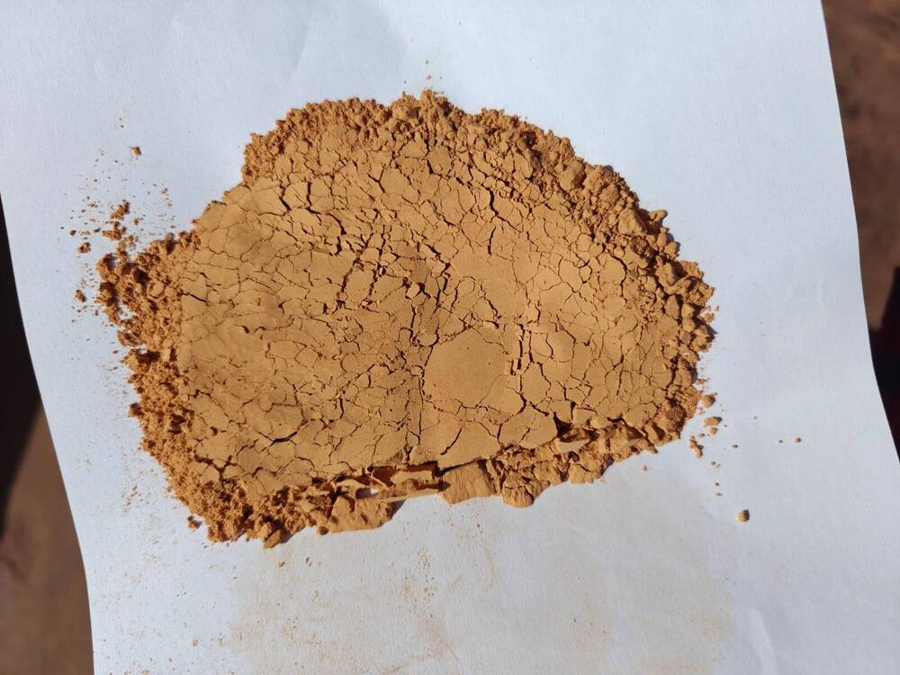 Cutch Powder