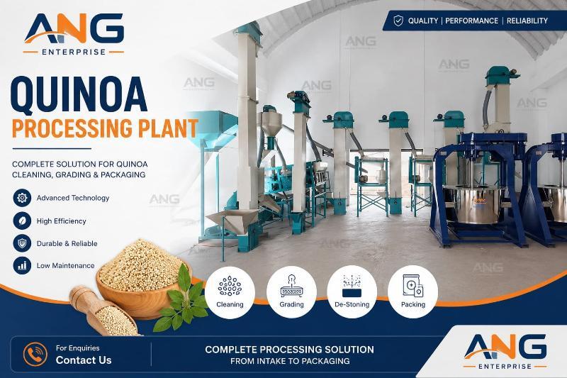 Commercial Quinoa Processing Plant - Stainless Steel, Modular Up To 10 Ton/Hr, White and Blue | Automatic PLC Control, Dust-Free, Low Energy, Food-Grade Output
