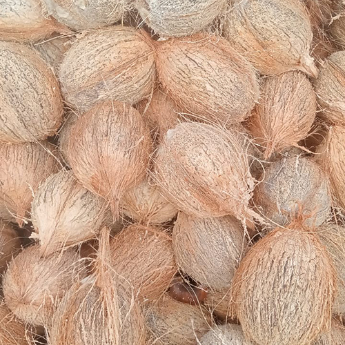 Raw Coconut