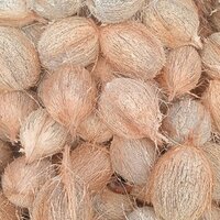 Green Coconut - Cultivation Type: Organic