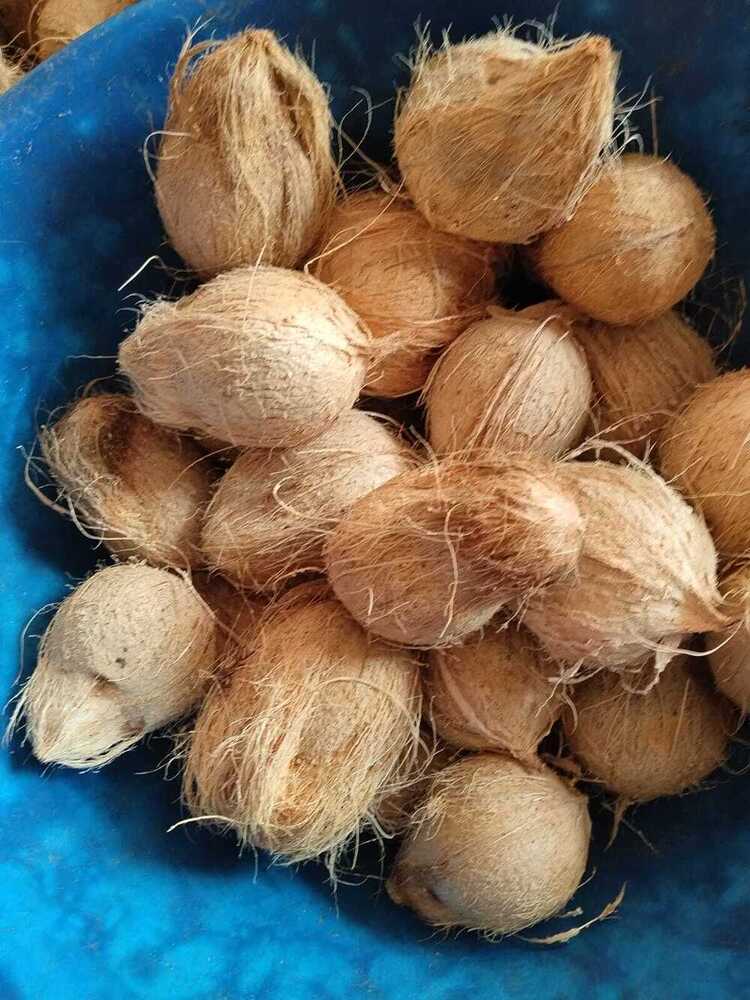 Semi Husked Coconut