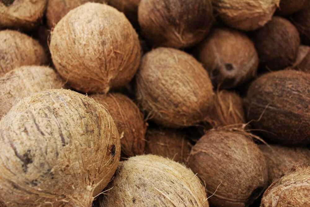 White Coconut