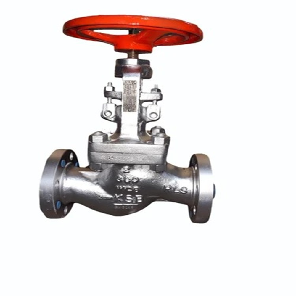 4 Inch Globe Valve
