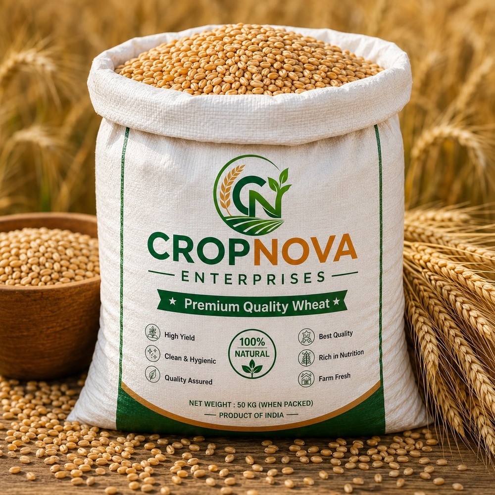 100% Natural Maize