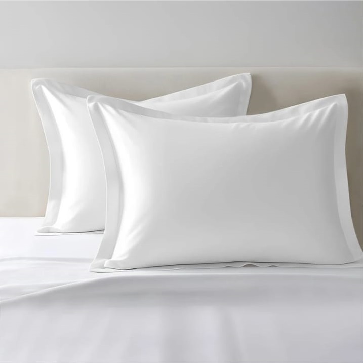 2PC 400TC Pillow Cases
