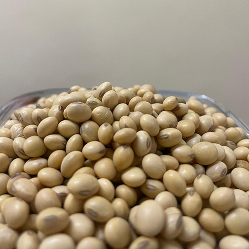 Natural Soy Bean