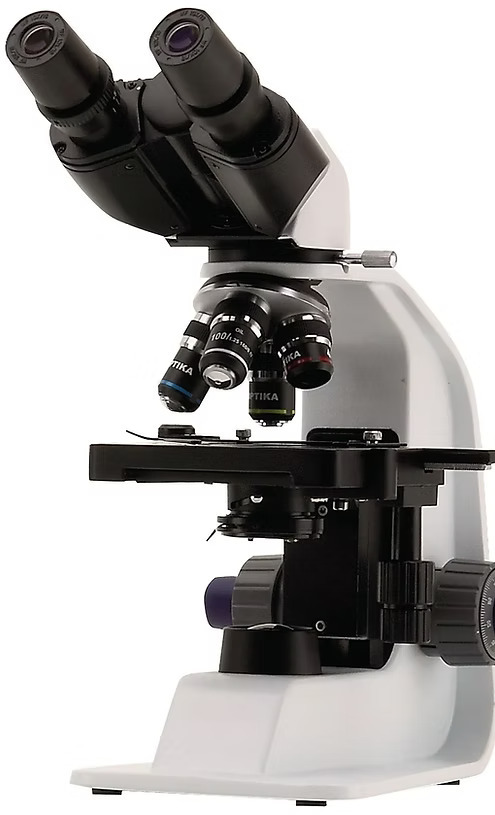 Binocular Co-Axial Microscopes