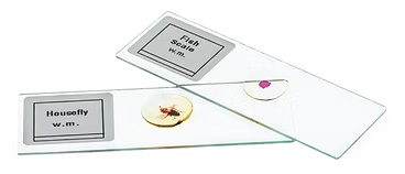 Permanent Slide
