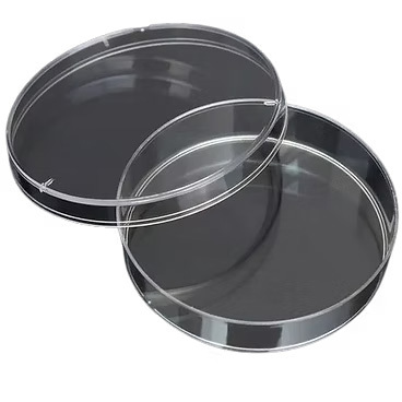 Petri Dish