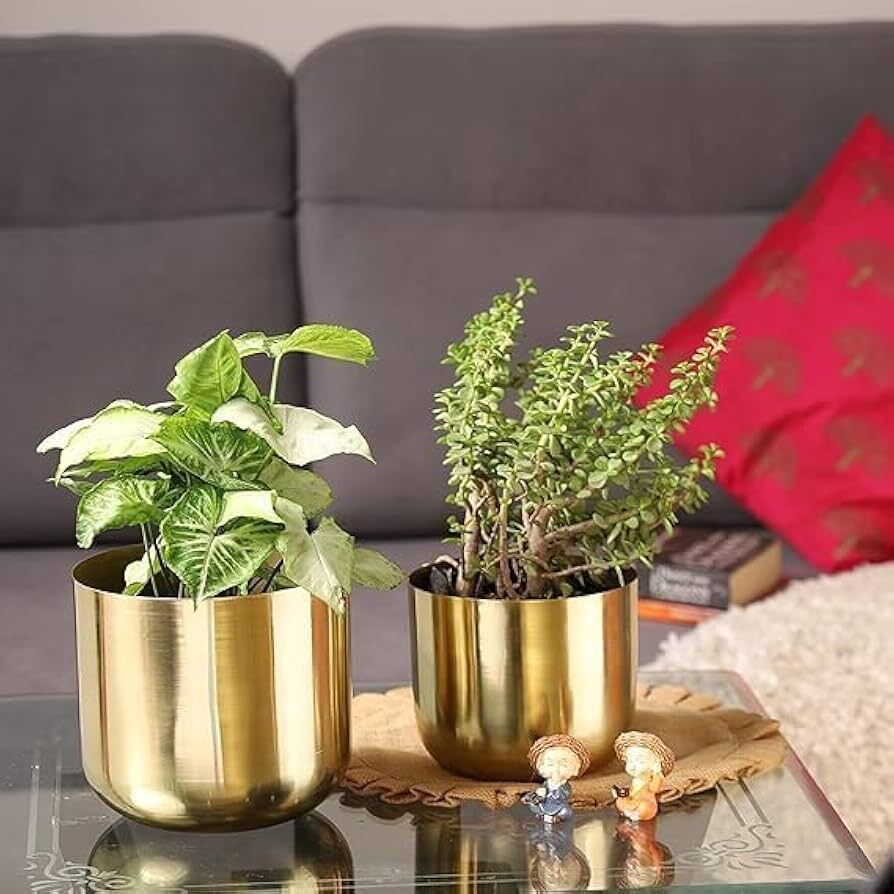 Metal Planter - Handle Material: Iron