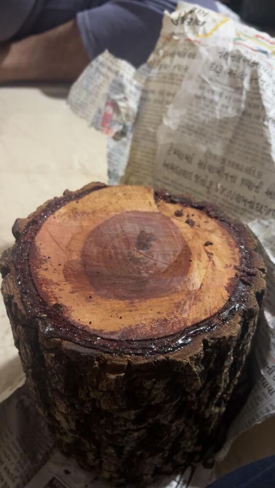 Red sandalwood