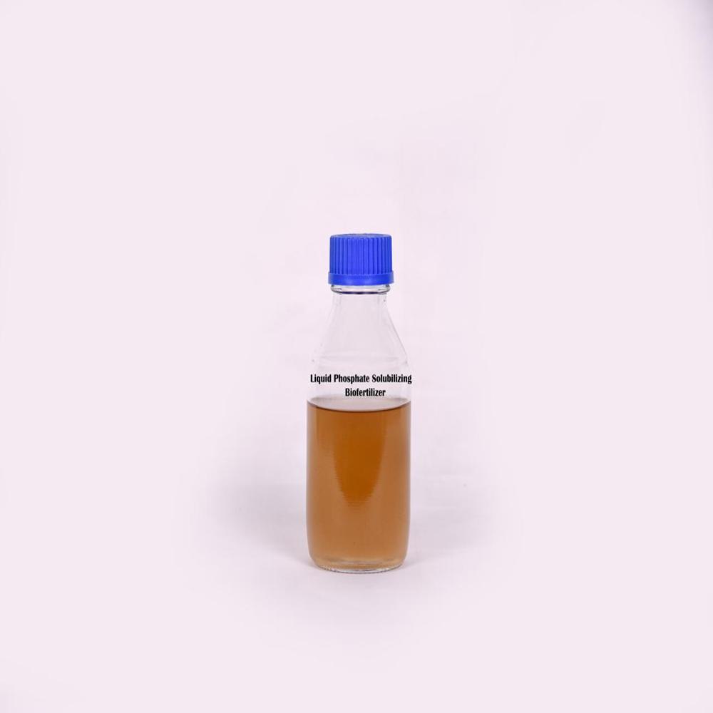 Phosphate Solubilizing Biofertilizer (Powder/Liquid) 