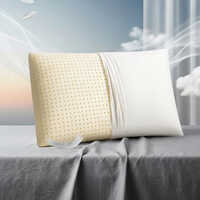 Hotel Mattress