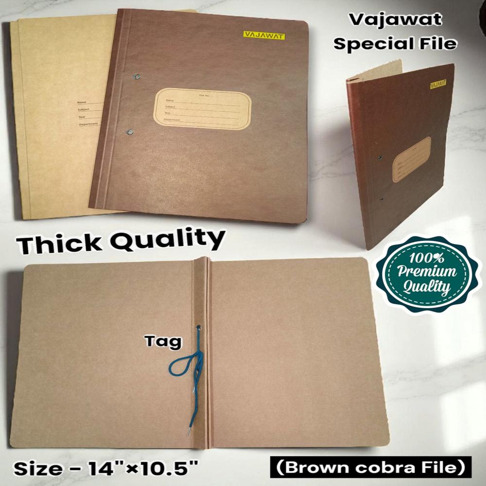 Cardboard Spring Clip Browine Spl Tag File B - 301