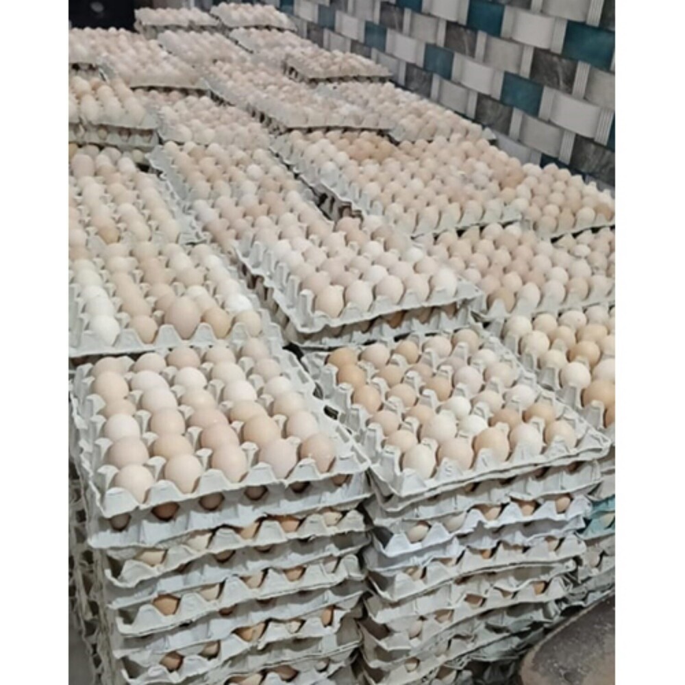 Sonali Egg - Fresh Sonali Eggs | Naturally Sourced, Farm-fresh Quality, Perfect For Culinary Creations And Daily Nutrition