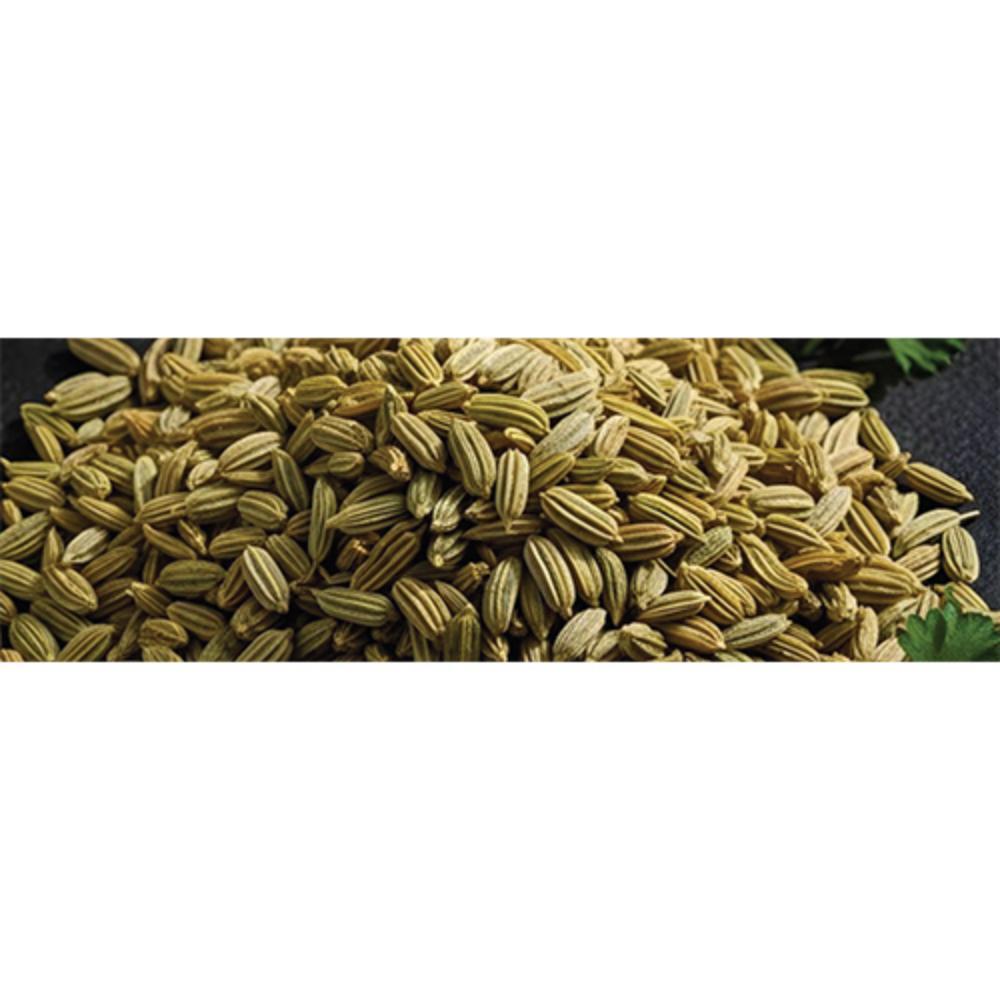 Organic Fennel Seeds - Color: Brown