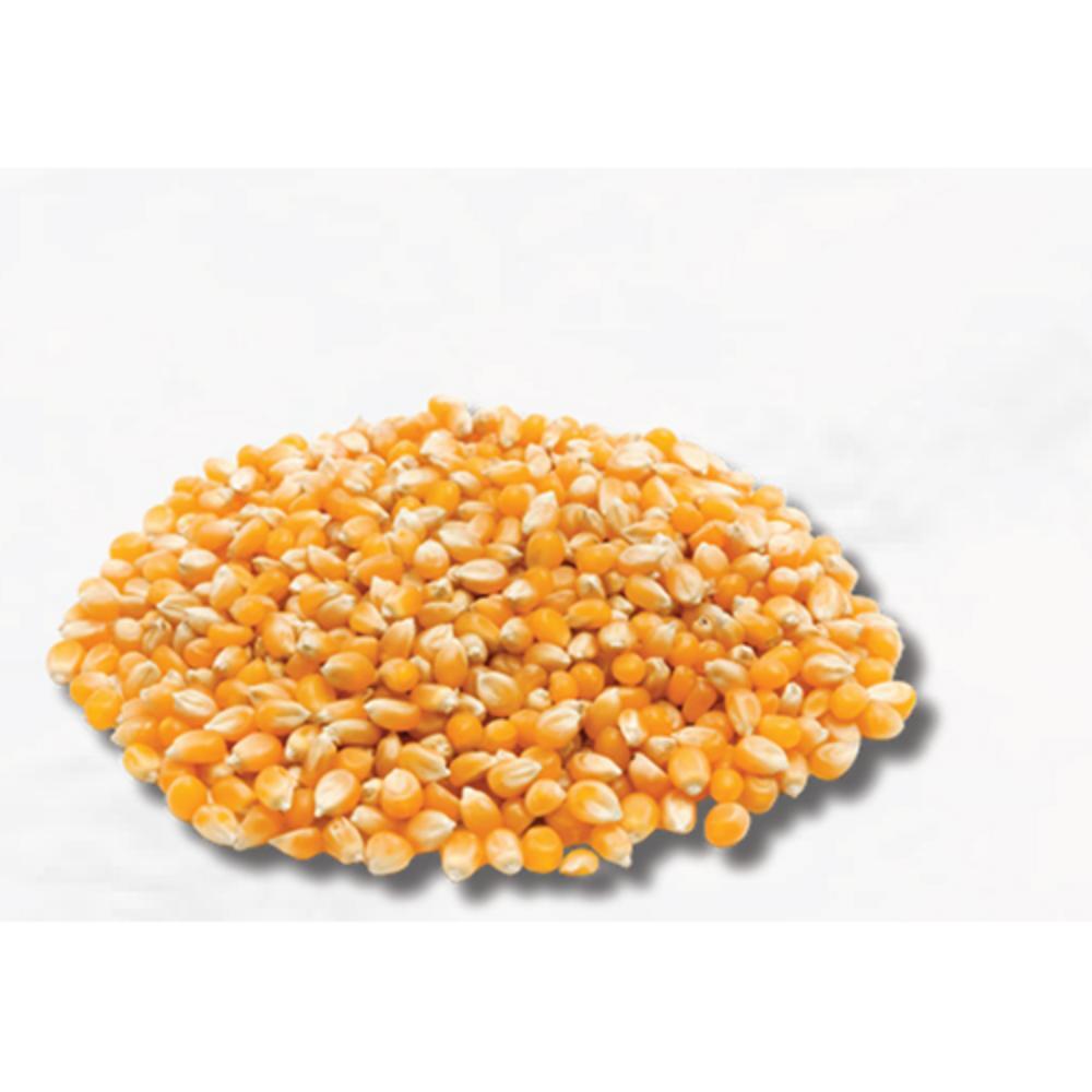 Organic Yellow Maize - Grade: A Grade