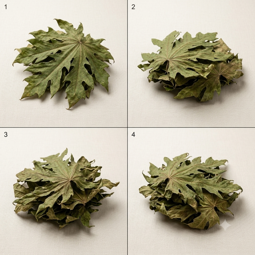 Papaya Dry Leaves