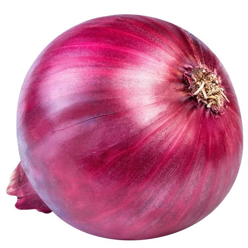 Organic Red Onion