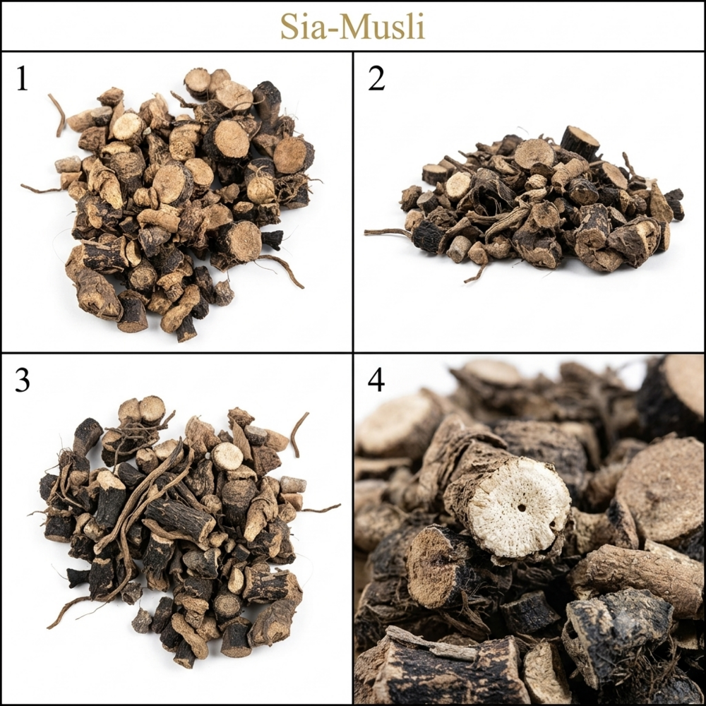 Sia Musli