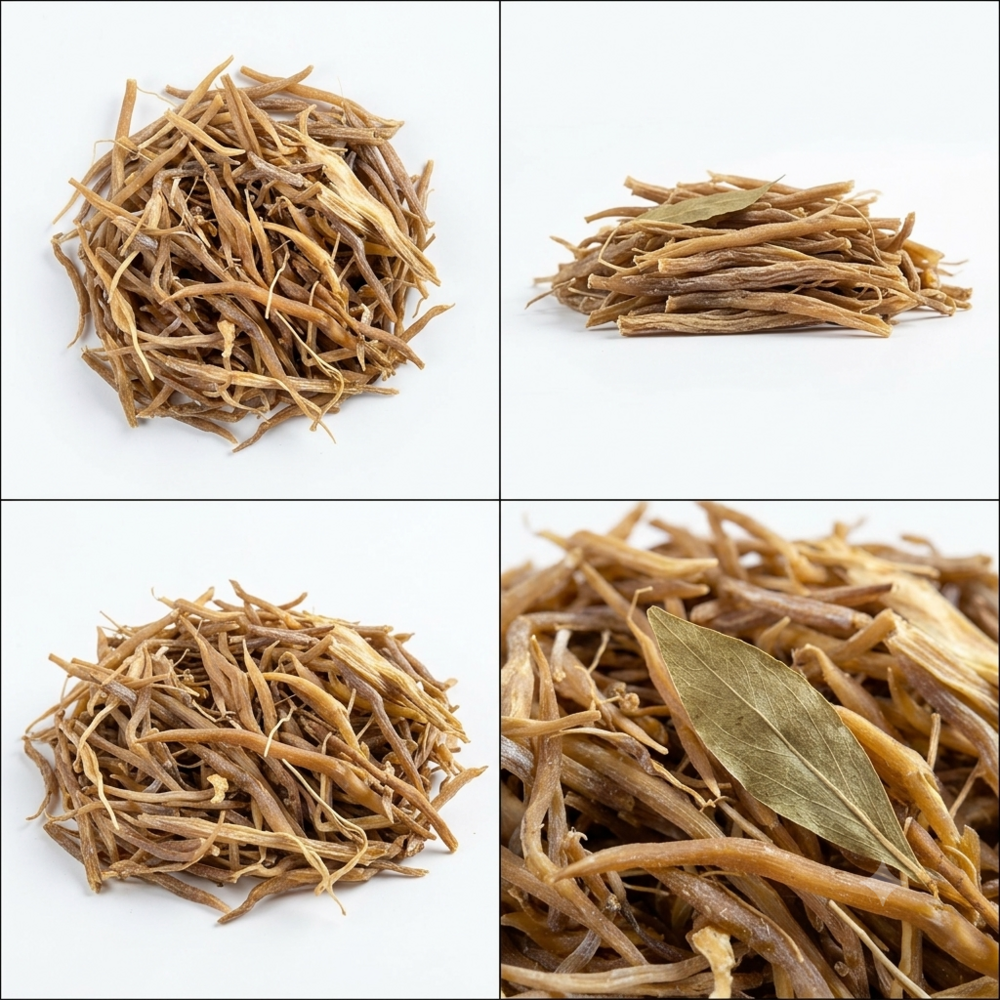 Natural Shatavari Root - Grade: A Grade