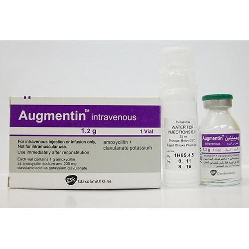 Augmentin Intravenous Injection