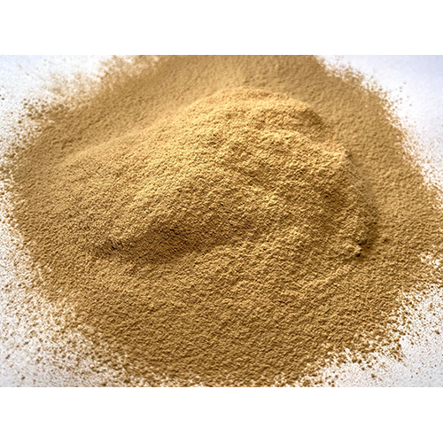 Dried Gooseberry Powder