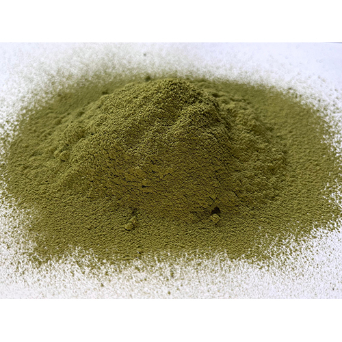 Dried Moringa Powder