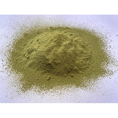 Dried Moringa Powder