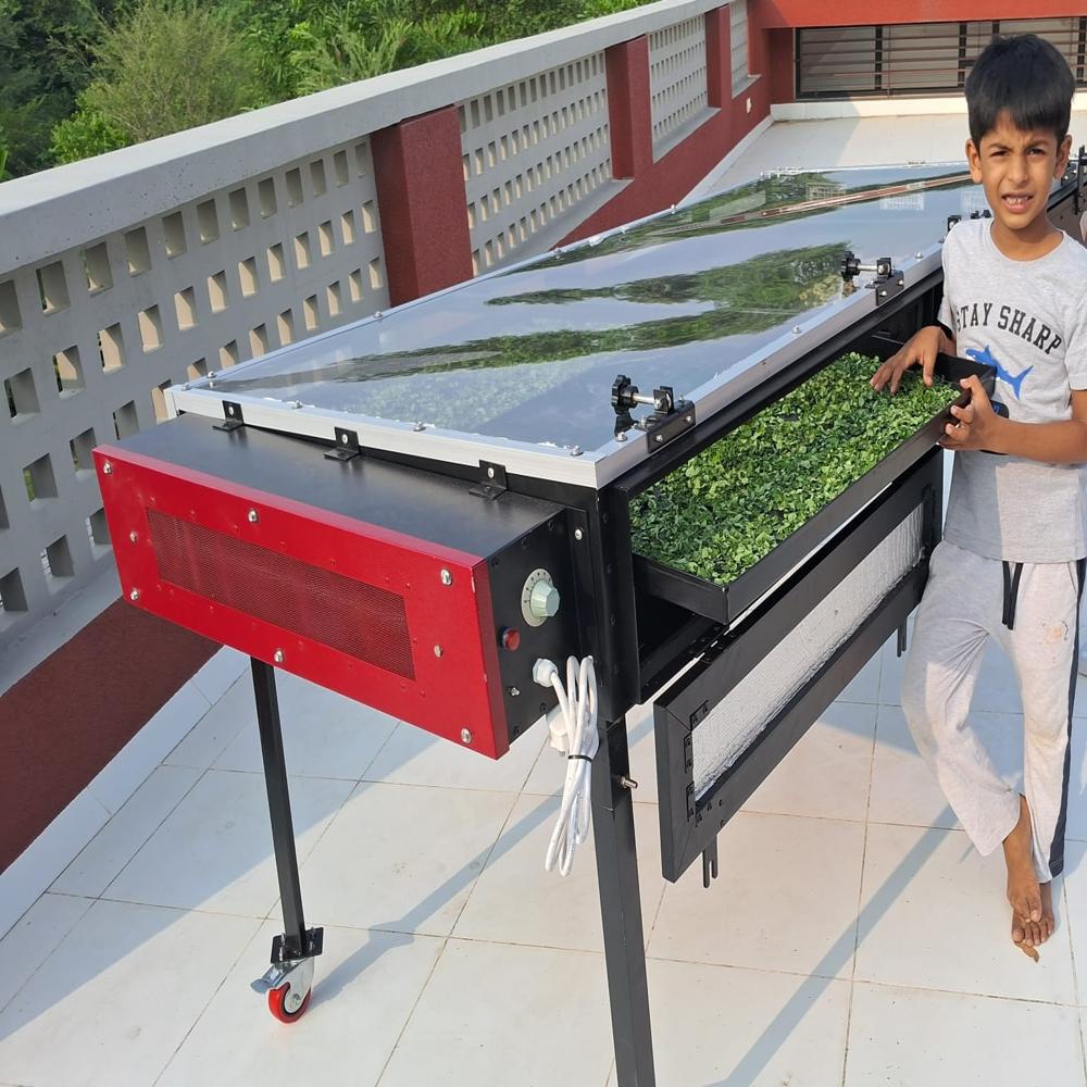 Solar Dryer For Cashew